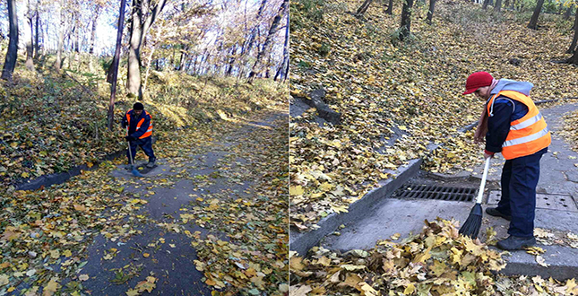 Прибирання листя біля гідротехнічних споруд КП "СУППР"